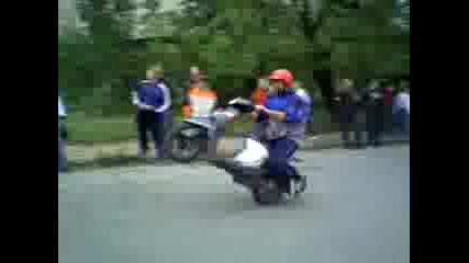 Pirdop