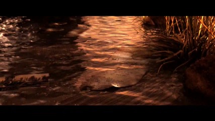 Far Cry 2 - Trailer (HD)