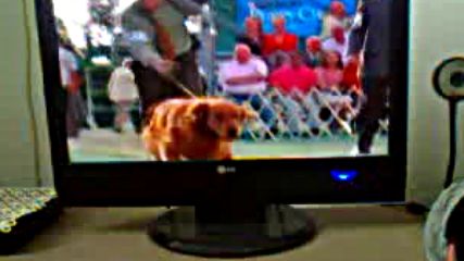 Garfield 1 Btv Bg Audio Parti 1 Film Yonetmen 2016 Hd