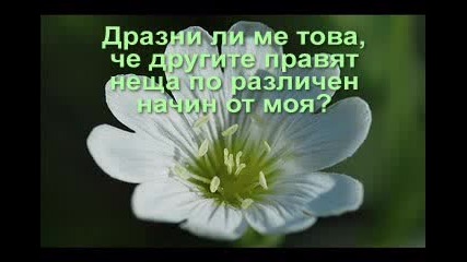 The Love
