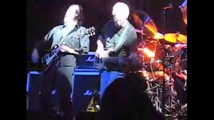 Cactus - Live