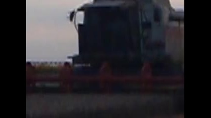 жътва на пшеница с кобаин Claas Lexion 460 Паскалево Добрич 2010