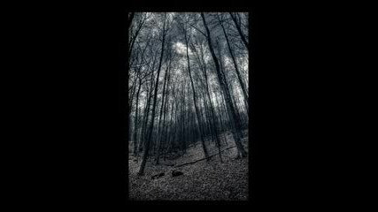 Veil - Suicide Winds 