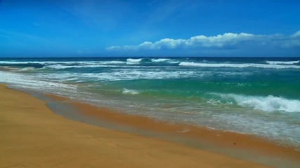 Oahu Beaches - Ocean Sounds [hd]