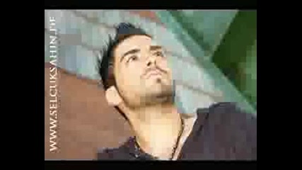 Selcuk Sahin 2010 Siir