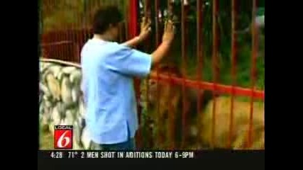 Videos aslan sar l yooooo.wmv
