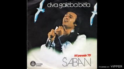 Saban Saulic - Dva galeba bela - (Audio 1979)