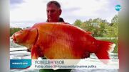 Рибар улови 30-килограмова златна рибка (ВИДЕО)