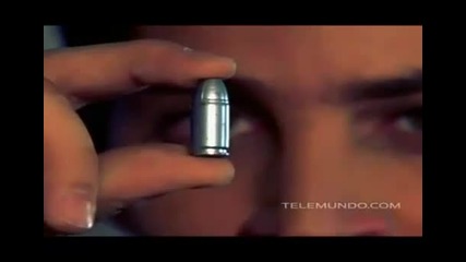 Flor Salvaje Avance Capitulo 115