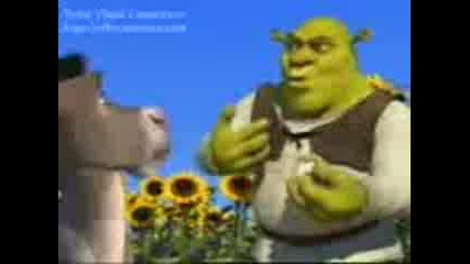Shrek & Smqh