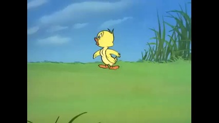 Tom and Jerry Cartoon - Just Ducky