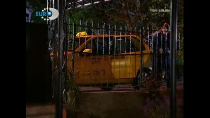 Kavak yelleri