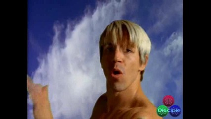 Red Hot Chili Peppers - Californication / High - Quality