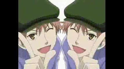 Hikaru And Kaoru The Siamese Cats