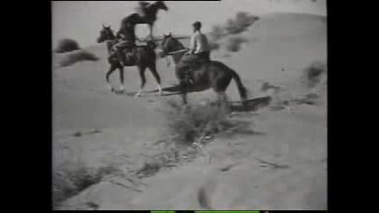 Akhal - Teke Horses - Ахалтекински свободни коне 