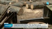 ОТ ДНЕС: Забрана за износ на необработена дървесина
