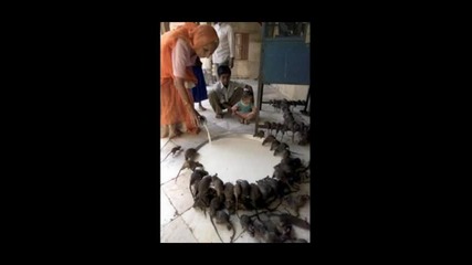 Top 20 Most Unbelievable Photos Part 2