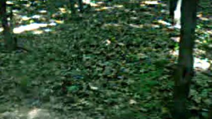 Park Korumasi Hep Ohranamizin Elinde 2016 Hd