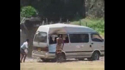 Слон побеснява