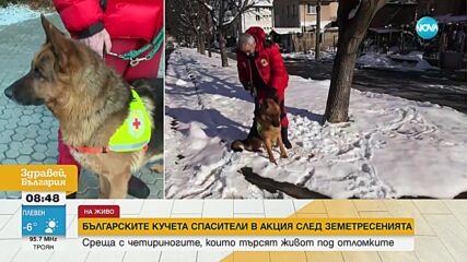 Българските кучета спасители в акция след земетресенията в Турция и Сирия