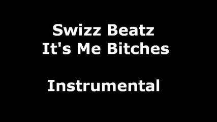 Swizz Beatz - Its Me Bitches (instrumental) 