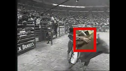 Pbr 101 Ty Murray