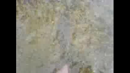 Mov00007.3gp