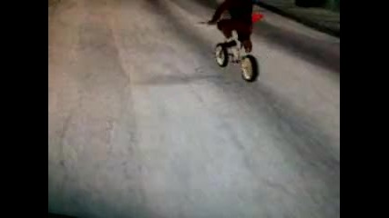 dober man
