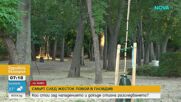 След смъртоносния побой в Пловдив: Очевидци твърдят, че сред групата тийнейджъри е имало и момичета
