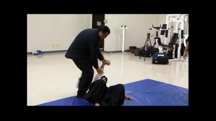 Steven Seagal - Lawman - The Deadly Hand