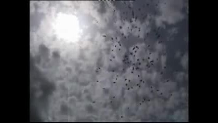 какво беше това