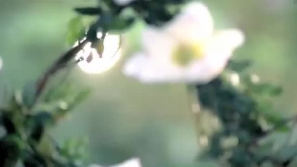 Demi Lovato - Gift Of A Friend Hq