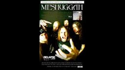 Meshuggah - Suffer In Truth 