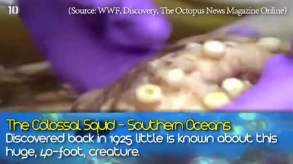 10 невероятни Подводни Открития