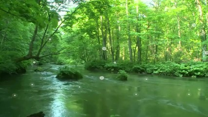 Спокойствието на реката...(relaxsing music)...