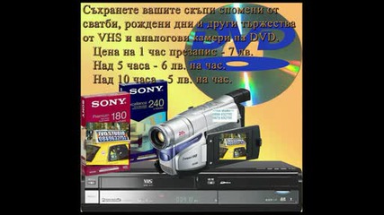 Ivo Studio