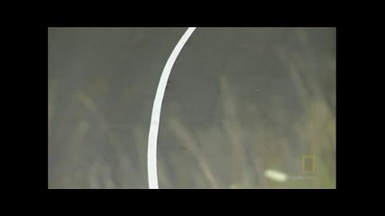 Правенето На Съвременния Инженерен Шедьовър - Bugatti (3/3) 