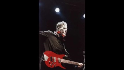 Limp Bizkit (wes Borland)