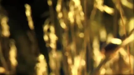 M83 - We Own The Sky (official Music Video)