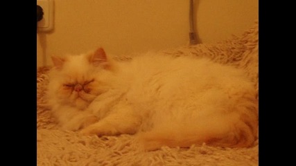 Picture 026