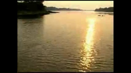 Pantanal,  Mato Grosso,  Brazil - Travel Information