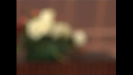 Mirjana Mirkovic - Kralj prevare