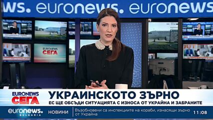 Днес служебния кабинет ще реши дали да забрани вноса на украинско зърно у нас