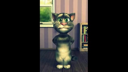 Talking Tom-почивни дни