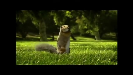Nestle Kit Kat squirrel Ad Aug 2010 Break Banta Hai 
