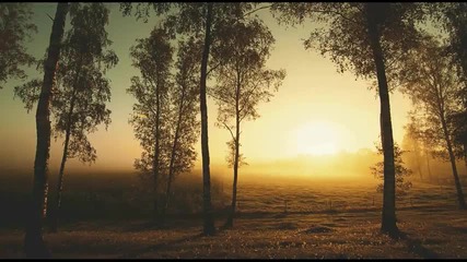 Leon Bolier - That Morning