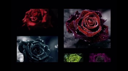 Panos Kiamos-gyrna se mena hd