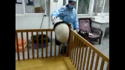 Бебето-беглец!