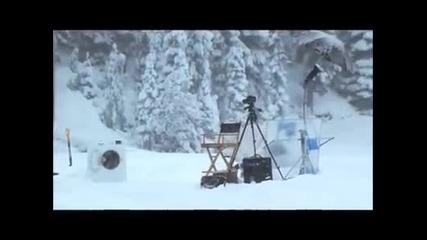 Който го е страх от мечки - да не ходи в гората - За мечките