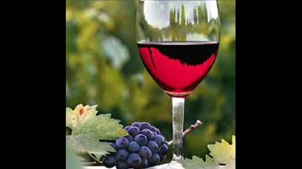 Balkan Beat Pijem Vino